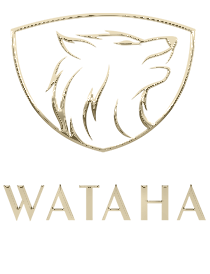 Wataha Autodetailing Poczesna